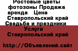 Ростовые цветы, фотозоны.Продажа, аренда › Цена ­ 1 000 - Ставропольский край Свадьба и праздники » Услуги   . Ставропольский край